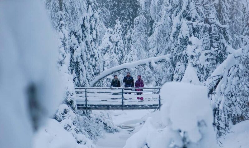 Rovaniemi: Korouoma Canyon and Frozen Waterfalls Tour - Practical Details and Booking Flexibility