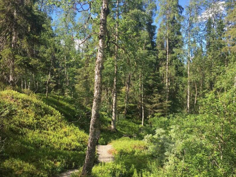 Rovaniemi: Korouoma Canyon Autumn Hike & BBQ - Key Points