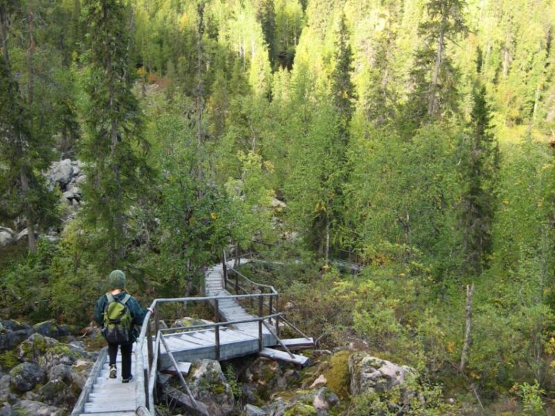 Rovaniemi: Korouoma Canyon Autumn Hike & BBQ - Korouoma Canyon: Lapland’s Dramatic Autumn Landscape