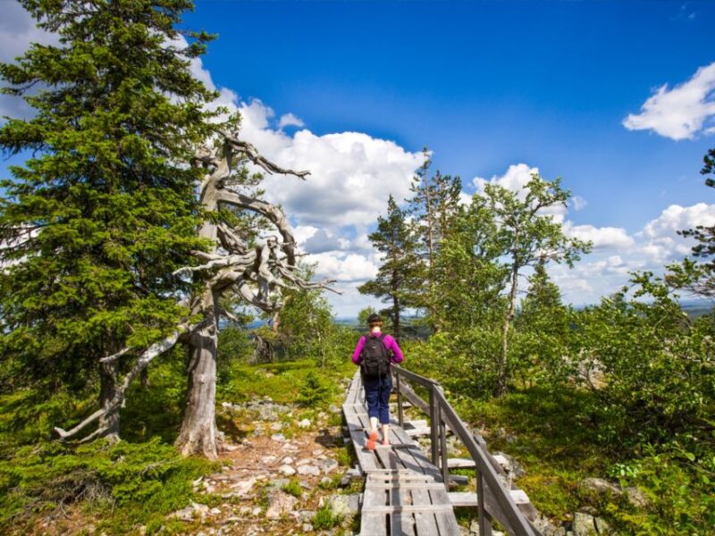 Rovaniemi: Korouoma Canyon Autumn Hike & BBQ - Small Group Dynamics and Guide Expertise