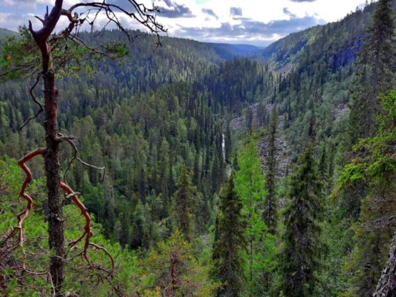 Rovaniemi: Korouoma Canyon Autumn Hike & BBQ - The Sum Up: Authentic, Personalized Autumn Experience in Lapland