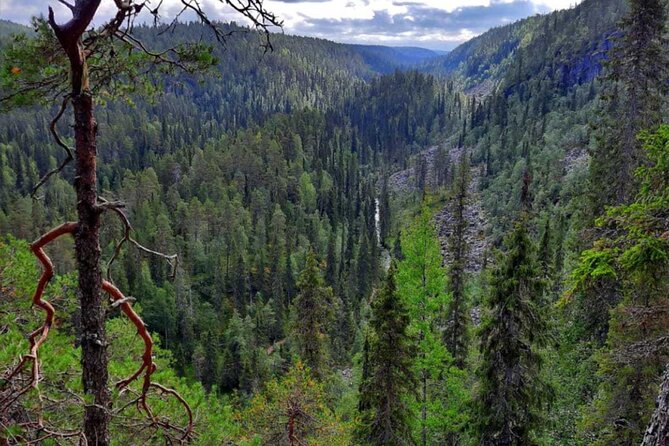 Rovaniemi: Korouoma Canyon Hike and Barbecue Experience - Korouoma Canyon Hike with Barbecue in Rovaniemi: An Authentic Arctic Adventure