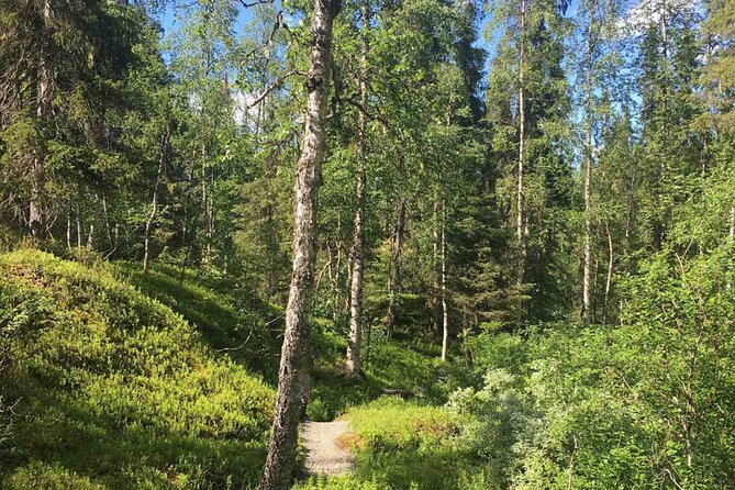 Rovaniemi: Korouoma Canyon Hike and Barbecue Experience - Key Points