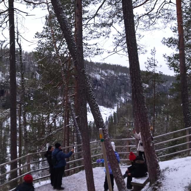 Rovaniemi: Korouoma Glacier Canyon Hike with BBQ - The Cozy Picnic and Fire Side Relaxation
