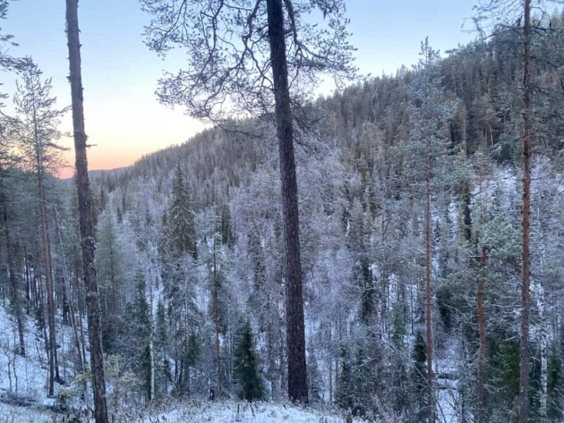 Rovaniemi: Korouoma Wilderness Cafés Icefall Tour and Lunch - Korouoma Canyon: A Frozen Masterpiece in Lapland