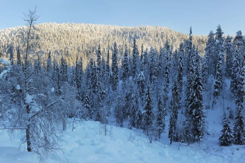 Rovaniemi: Korouoma Wilderness Cafés Icefall Tour and Lunch - The Cozy Wilderness Café and Traditional Lunch