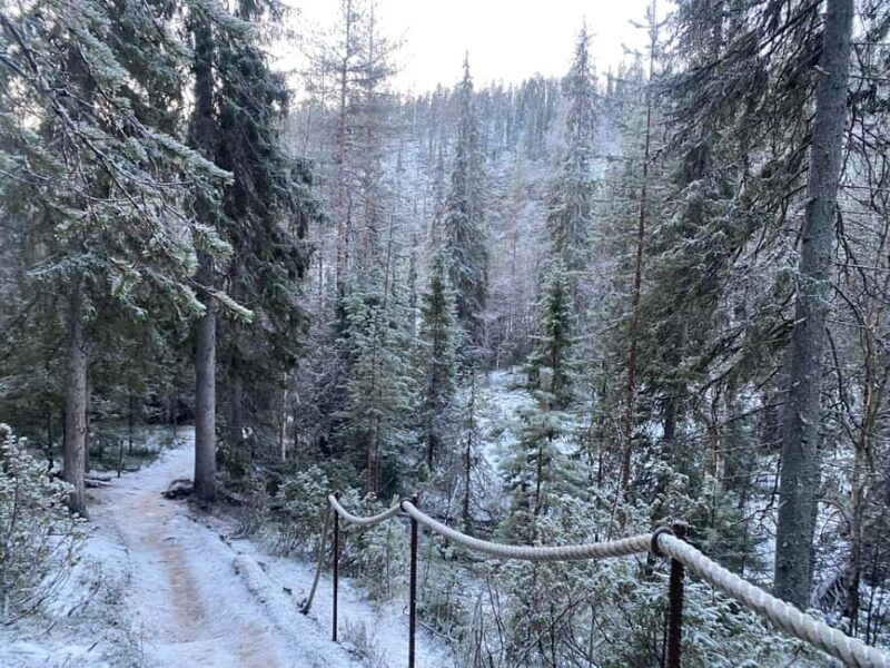 Rovaniemi: Korouoma Wilderness Cafés Icefall Tour and Lunch - Practical Details: Logistics and Group Size