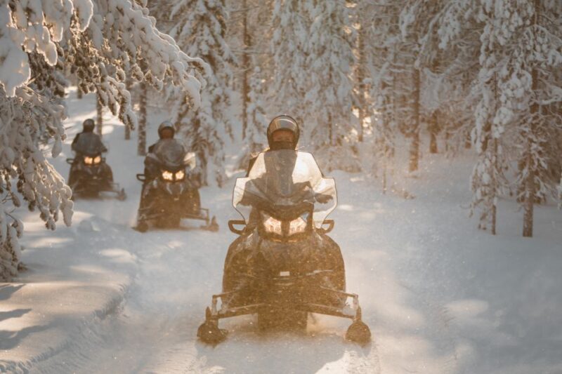 Rovaniemi: Lake Lehtojärvi Electric Snowmobile Safari Tour - The Guide and Safety Protocols