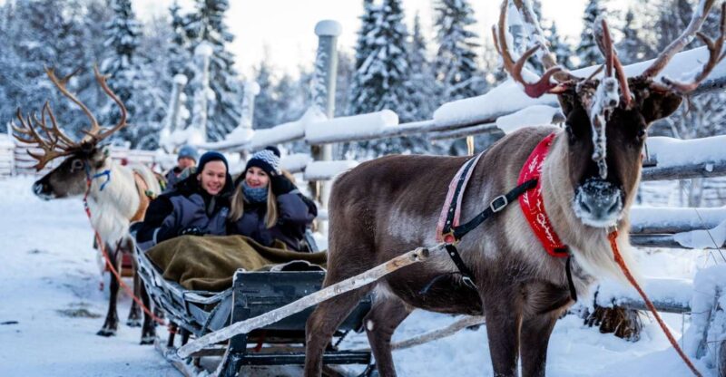Rovaniemi: Local Reindeer Farm Visit with Sleigh Ride - Reindeer Feeding and Animal Interaction