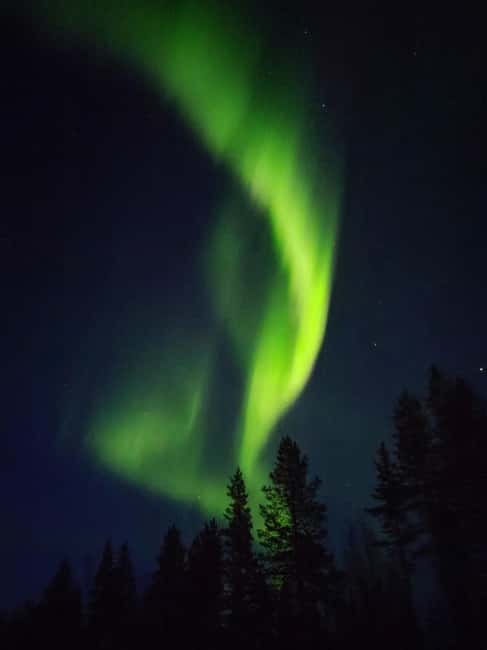 Rovaniemi: Luxury Aurora Tour with Gourmet Snacks - Scenic Drive into Lapland Wilderness