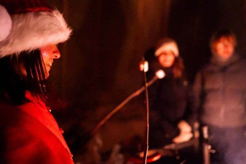 Rovaniemi: Magical Santa Claus & Northern Lights Experience - Elves, Stories, and Festive Cheer