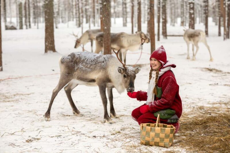 Rovaniemi: Meet Santa's Favorite Reindeer - Comparing This Tour to Other Reindeer Experiences