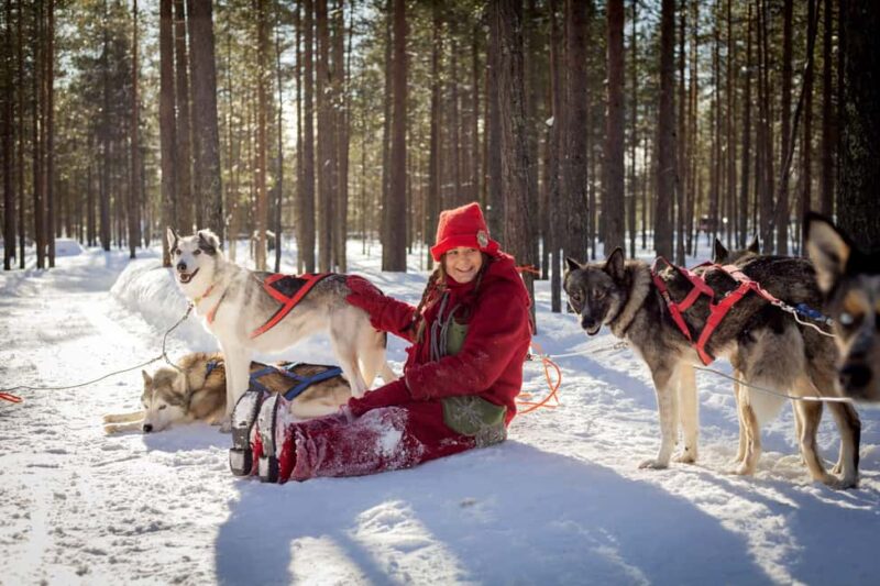 Rovaniemi: Meet Santa's Most Trusted Husky Dogs - Key Points