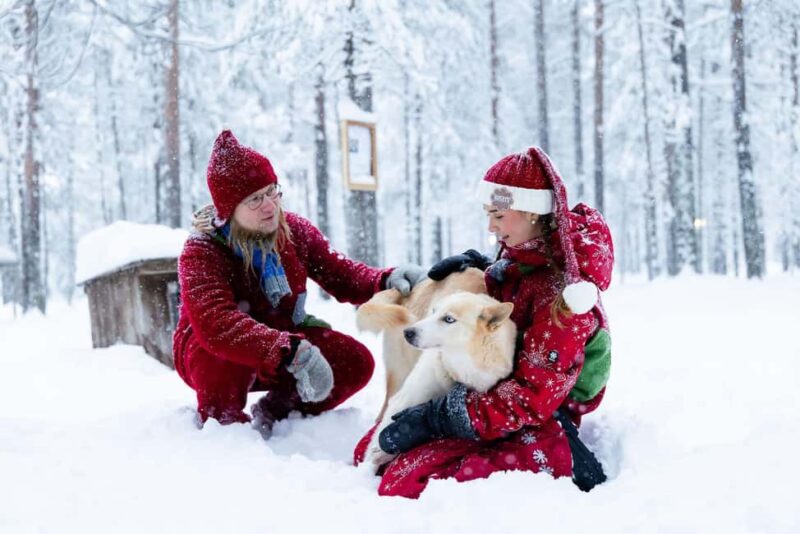 Rovaniemi: Meet Santa's Most Trusted Husky Dogs - Introduction to Santa’s Trusted Huskies in Lapland