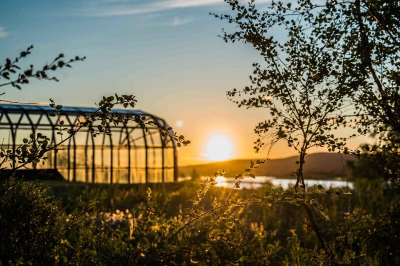 Rovaniemi: Midnight Sun Photography Tour - Enjoy a Cozy Campfire with BBQ Snacks