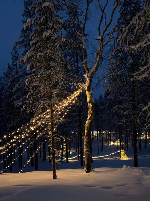 Rovaniemi, Mystical Forest Winter Trail/Pickup and Drop-off - Experience the Magic of the Mystical Lapland Forest Winter Trail
