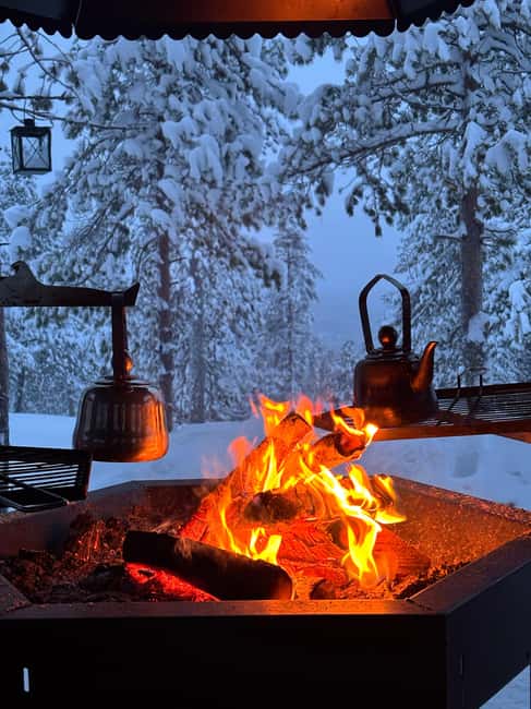 Rovaniemi, Mystical Forest Winter Trail/Pickup and Drop-off - The Mystical Lapland Forest: A Softly Illuminated Winter Trail