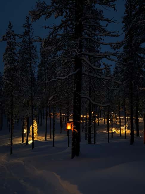 Rovaniemi, Mystical Forest Winter Trail/Pickup and Drop-off - Comparing to Similar Rovaniemi Experiences