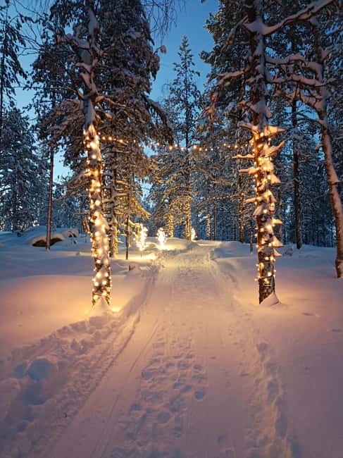 Rovaniemi, Mystical Forest Winter Trail/Pickup and Drop-off - Final Thoughts on the Mystical Forest Winter Trail