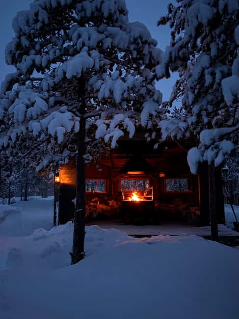 Rovaniemi: Mystical Lapland Forest Entry Ticket - Key Points
