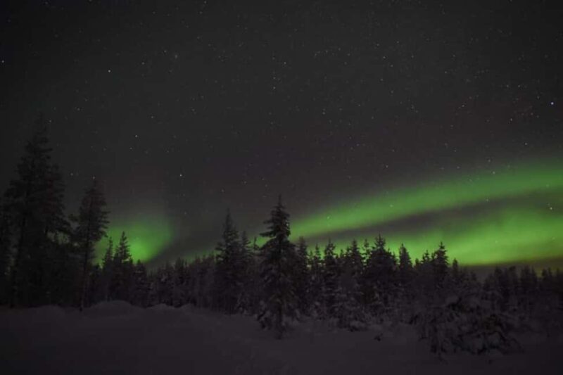 Rovaniemi: New Year's Eve Special Aurora Safari - Cozy Fire, BBQ Snacks, and Flexible Indoor Options