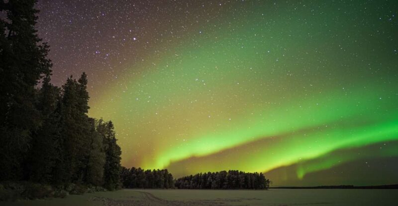 Rovaniemi: Night Sky lappish Barbecue - Learning About the Aurora Borealis and Local Culture