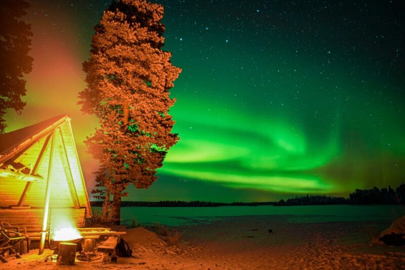 Rovaniemi: Night Sky lappish Barbecue - What Sets This Tour Apart from Others