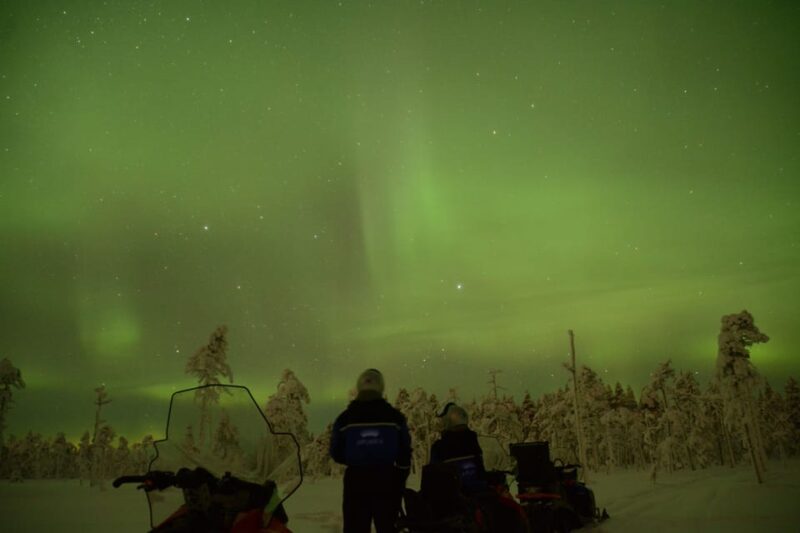 Rovaniemi: Night Snowmobile Tour - Hunting for the Northern Lights in the Arctic Night