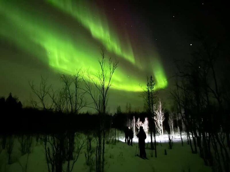 Rovaniemi: Nocturnal Skiing: Experience the Arctic's Magic - Key Points
