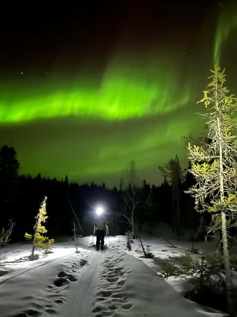 Rovaniemi: Nocturnal Skiing: Experience the Arctic's Magic - Exploring Private Trails in Laplands Quiet Nature