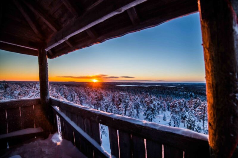 Rovaniemi: Nordic Forest Wilderness Adventure - Exploring Rovaniemi’s Wilderness with a Photography Expert