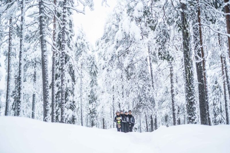 Rovaniemi: Nordic Forest Wilderness Adventure - A Focus on Wilderness Photography