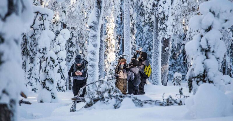 Rovaniemi: Nordic Forest Wilderness Adventure - What’s Included in the Tour Package
