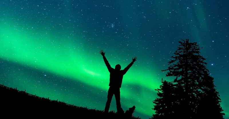 Rovaniemi: Northern Light Hunt Tour with ProCamera - Comfort and Convenience in Arctic Conditions