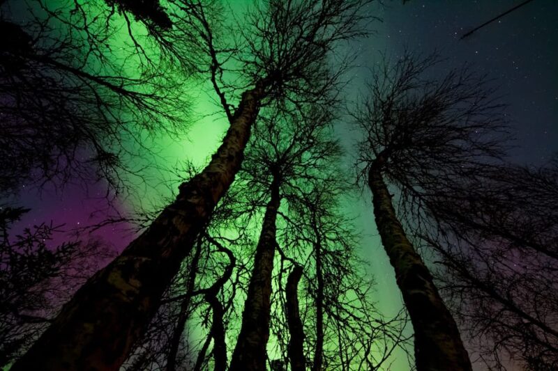 Rovaniemi: Northern Light Hunt Tour with ProCamera - Weather Monitoring and Flexibility