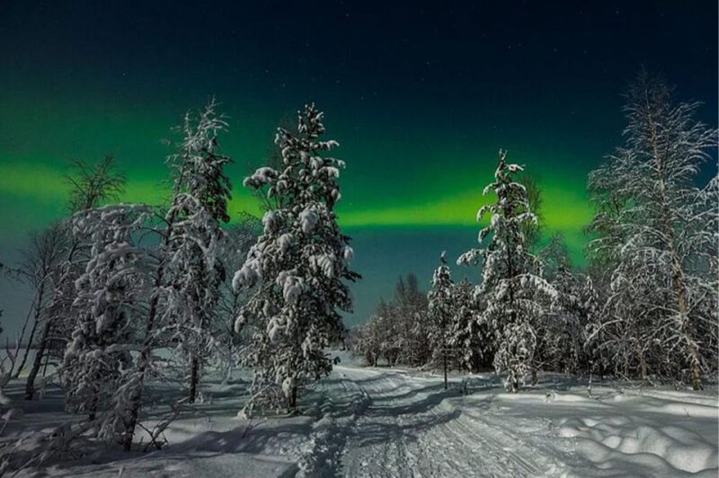 Rovaniemi: Northern Lights and Husky Sleigh Ride - The Husky Sled Ride: 5 km of Winter Joy