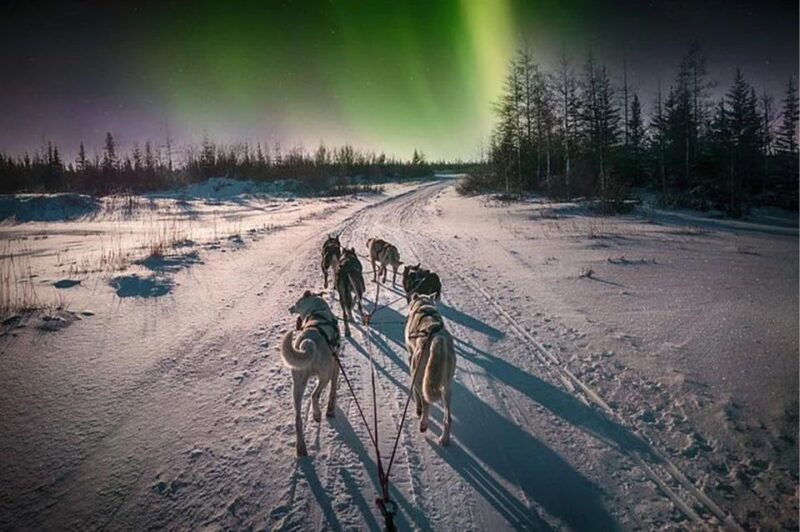 Rovaniemi: Northern Lights and Husky Sleigh Ride - Logistics and Practicalities