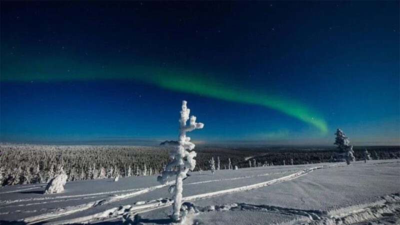 Rovaniemi: Northern Lights and Husky Sleigh Ride - Rovaniemi: Northern Lights and Husky Sleigh Ride – Final Thoughts