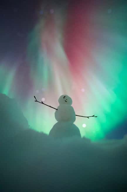 Rovaniemi: Northern Lights Group Tour with Guaranteed View - Exploring Rovaniemi’s Northern Lights Guarantee and the Local Experts