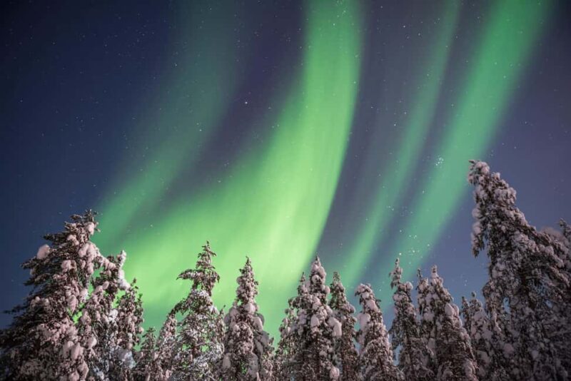 Rovaniemi: Northern Lights Hunt & Photography Experience - The Art of Aurora Photography with Expert Guidance