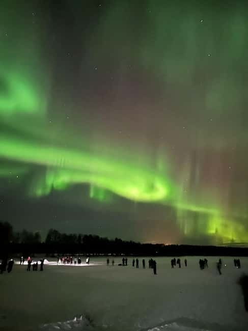 Rovaniemi: Northern Lights Hunters. Aurora + BBQ - Physical Requirements and Accessibility