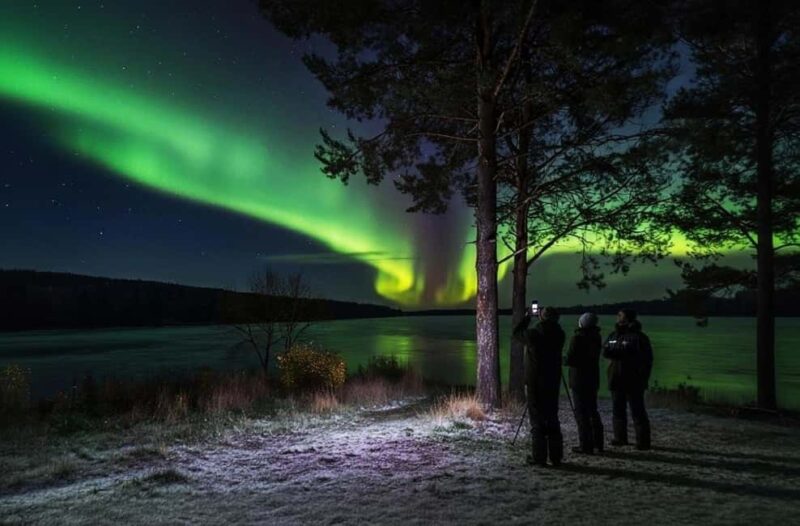 Rovaniemi: Northern Lights Magic Adventure - Guided Aurora Hunting with Local Expertise