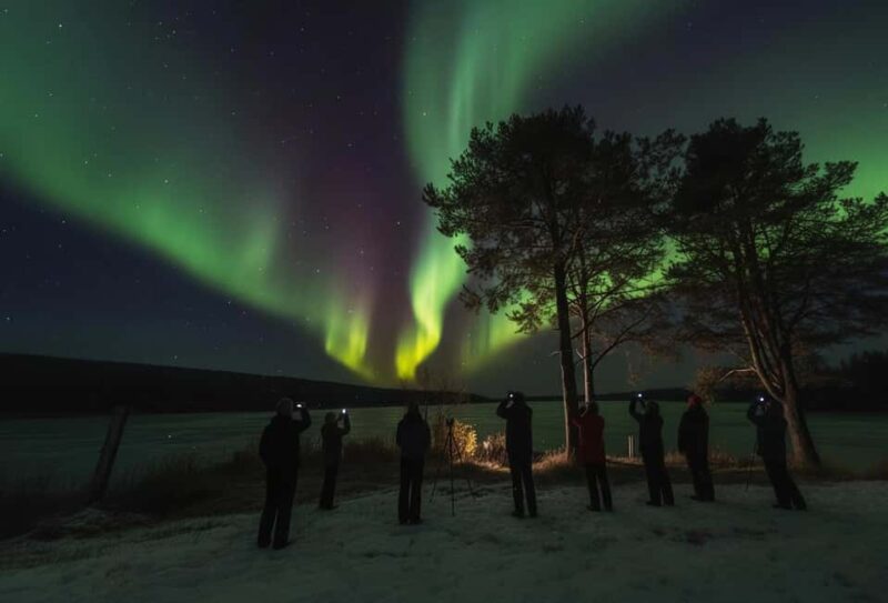 Rovaniemi: Northern Lights Magic Adventure - Dynamic Route with Multiple Aurora Spot Visits