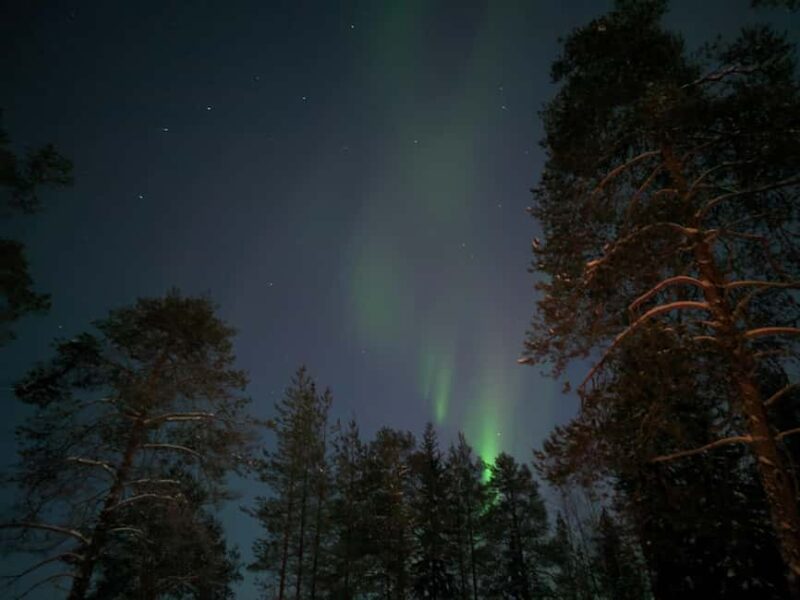 Rovaniemi: Northern Lights Magic Adventure - Flexibility & Booking Options: Reserve Now, Pay Later