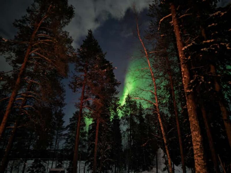 Rovaniemi: Northern Lights Magic Adventure - Practical Tips for Participating in the Northern Lights Tour