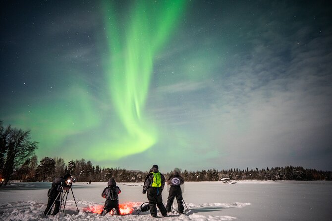 Rovaniemi Northern Lights Photography Small-Group Tour - Limitations and Considerations