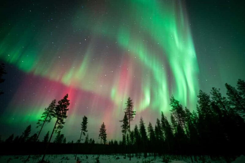 Rovaniemi: Northern Lights Photography Tour & BBQ - Group Size, Booking, and Accessibility