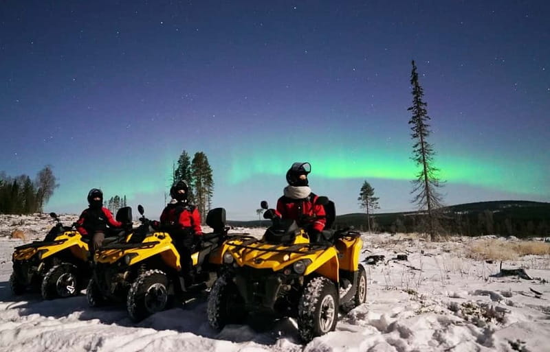 Rovaniemi: Northern Lights Quad Bike Tour - Who Will Enjoy This Tour Most?