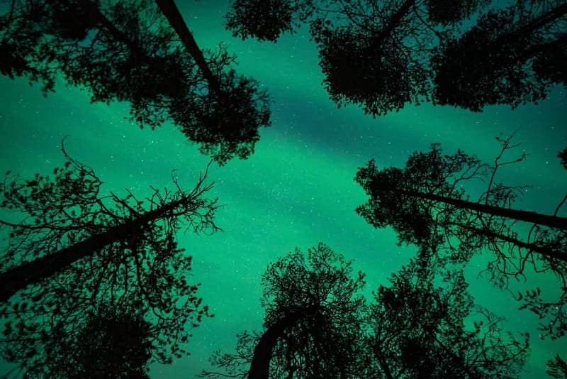 Rovaniemi: Northern Lights Quad Bike Tour - Frequently Asked Questions about the Rovaniemi Quad Bike Tour