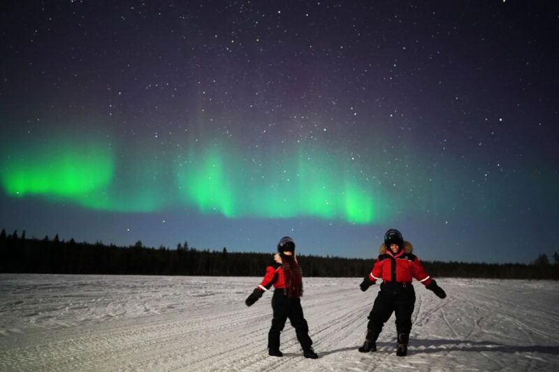 Rovaniemi: Northern Lights Sleigh Ride - Key Points